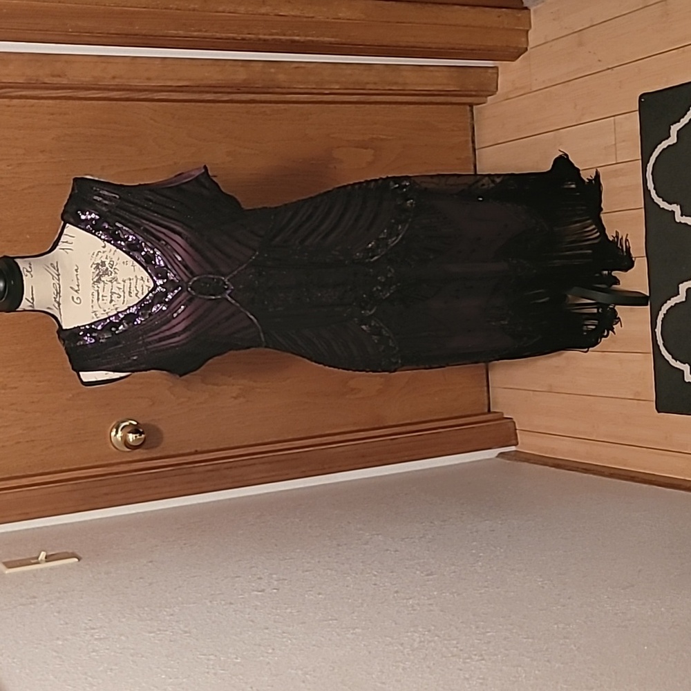 Unique Vintage Purple Flapper Dress
